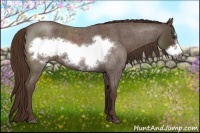 Horse Color:Liver Red Roan Frame 