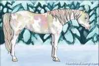 Horse Color:Nacre White Spotted Chocolate Palomino Pearl Sabino Splash