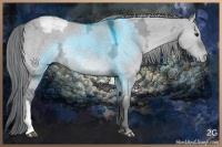 Horse Color:Grullo Chinchilla Ice Varnish Rabicano 