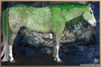 Horse Color:Painted Smoky Grullo Chinchilla Sabino Splash Rabicano