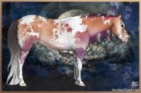 Horse Color:White Spotted Sable Champagne Onyx Splash Tobiano Brindle