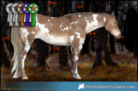 Horse Color:White Spotted Liver Red Dun Brindle 