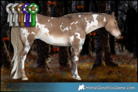 Horse Color:White Spotted Liver Red Dun Brindle