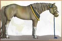 Horse Color:White Spotted Liver Chestnut Rabicano 