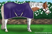 Horse Color:Silver Bay Tobiano Frame Rabicano 