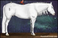 Horse Color:Silver Perlino Dun Splash Tobiano Frame Rabicano