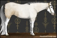 Horse Color:Bay Roan Dun Splash Rabicano Brindle