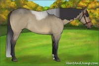 Horse Color:Bay Roan Dun Rabicano