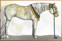Horse Color:White Spotted Liver Red Dun Ice Splash 