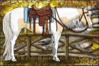 Horse Color:Silver Buckskin Dun Tobiano 