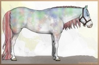 Horse Color:Painted Nacre Chocolate Palomino Pearl Dun Sabino Rabicano 
