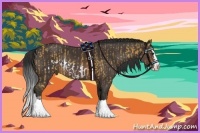 Horse Color:Buckskin Sabino Frame Rabicano and Brown Sabino Splash Rabicano