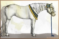 Horse Color:White Spotted Liver Red Onyx 