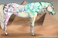 Horse Color:Palomino Ice Sabino