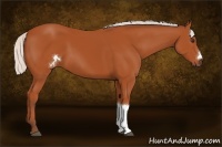 Horse Color:Silver Brown 