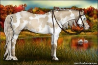 Horse Color:White Spotted Liver Chestnut Pearl Splash Tobiano