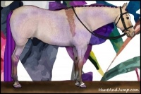 Horse Color:Painted Bay Roan Dun Sabino