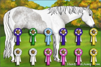 Horse Color:Gray Silver Smoky Black Tobiano 