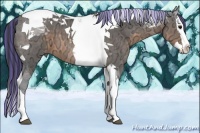 Horse Color:Painted Buckskin Ice Splash Tobiano 