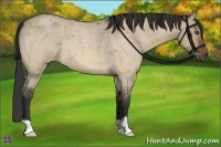 Horse Color:Bay Roan Dun 