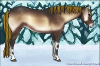 Horse Color:Painted Brown Onyx Sabino