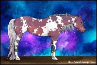 Horse Color:Watercolor White Spotted Silver Bay 