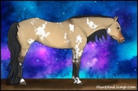 Horse Color:White Spotted Brown Dun 