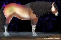 Horse Color:Buckskin Onyx 