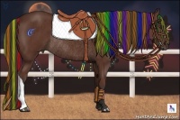 Horse Color:Painted Bay Rabicano 