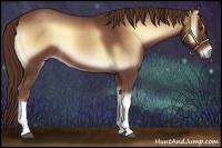 Horse Color:Red Onyx 