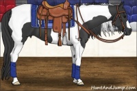 Horse Color:Black Tobiano 