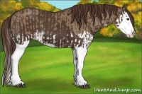 Horse Color:Liver Red Dun Splash and Liver Chestnut Splash