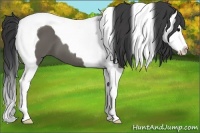 Horse Color:Grullo Splash Tobiano