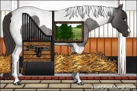 Horse Color:Smoky Blue Roan Tobiano 