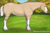 Horse Color:Silver Bay Roan Dun Splash