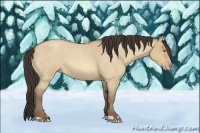 Horse Color:Amber Champagne Roan Dun