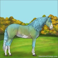 Horse Color:Watercolor Brown Splash Frame Rabicano 