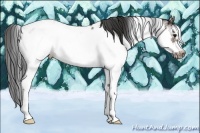 Horse Color:Bay Sabino Frame Blanket Rabicano 