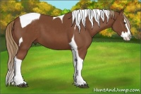 Horse Color:Chestnut Splash Tobiano