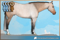 Horse Color:Brown Roan Dun Rabicano Brindle
