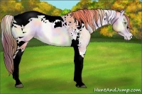 Horse Color:Nacre Buckskin Pearl Onyx Tobiano 