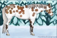 Horse Color:White Spotted Silver Bay Splash 