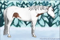 Horse Color:Bay Splash Tobiano Rabicano 