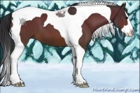 Horse Color:Brown Splash Tobiano