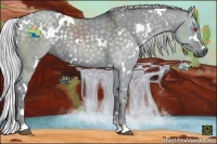 Horse Color:White Spotted Silver Grullo Chinchilla 