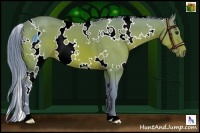 Horse Color:Watercolor White Spotted Bay 