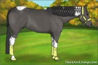Horse Color:Black Tobiano 