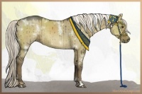 Horse Color:White Spotted Liver Red Dun Rabicano 