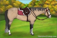 Horse Color:Buckskin Roan Splash