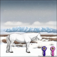Horse Color:Silver Brown Sabino Blanket